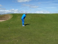 20150803 134309  chippi greenille