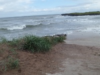 20150804 172747  käveltiin illalla carnoustien rannalla, kivat aallokot oli