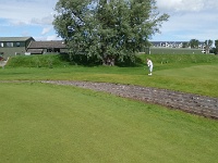 20150807 121657  zippi greenille