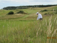 IMG 2554  ja hyvin lähti