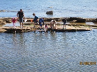 IMG 2627  paikalliset kalastiviat lammesta