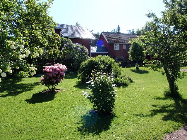 P6200154.JPG - On muuten laitettu nätisti