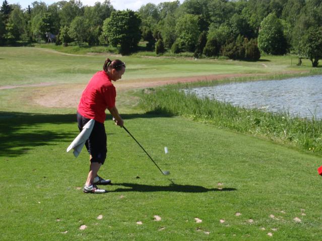 P6200173.JPG - Par 3