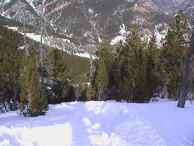 andor006.jpg