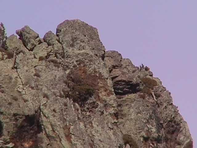 andor125.jpg