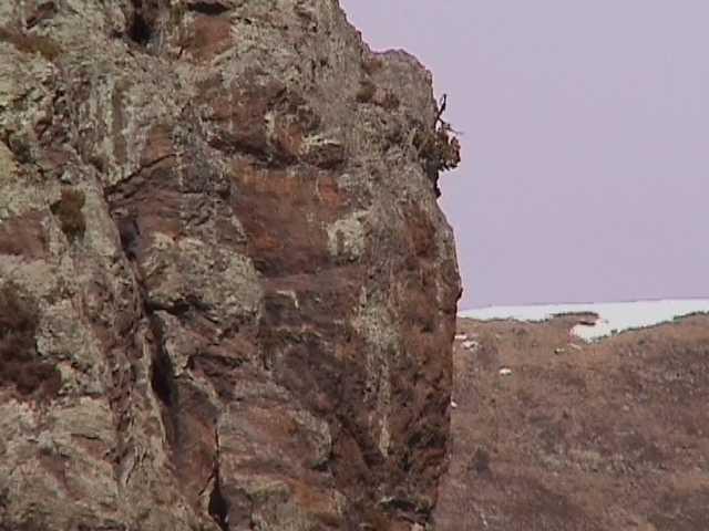 andor126.jpg