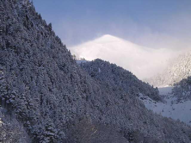 andor133.jpg