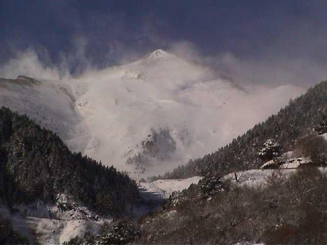 andor163.jpg