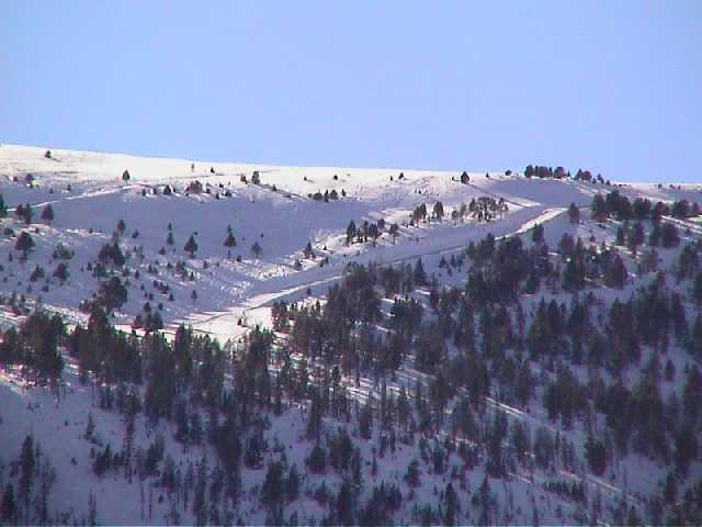 andor181.jpg