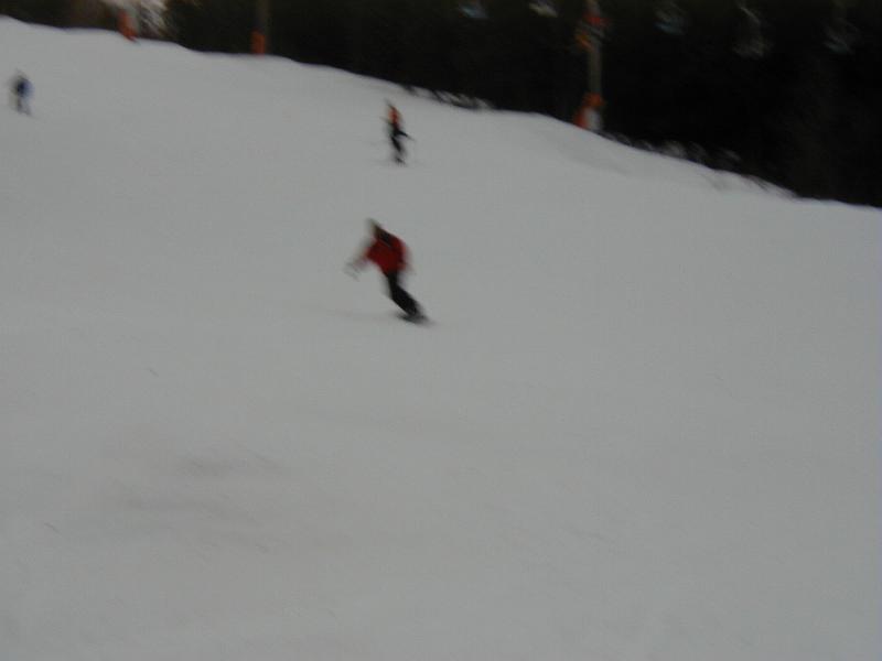 P3300005.JPG