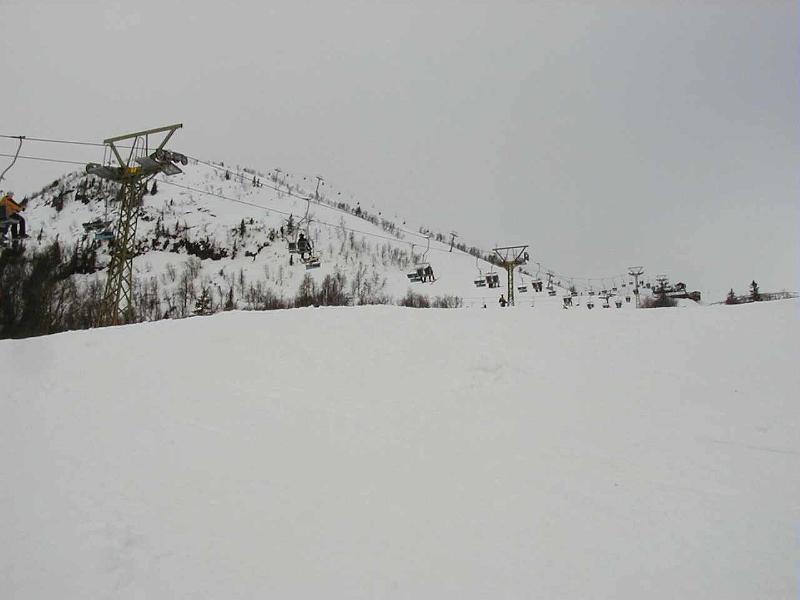 P3300010.jpg