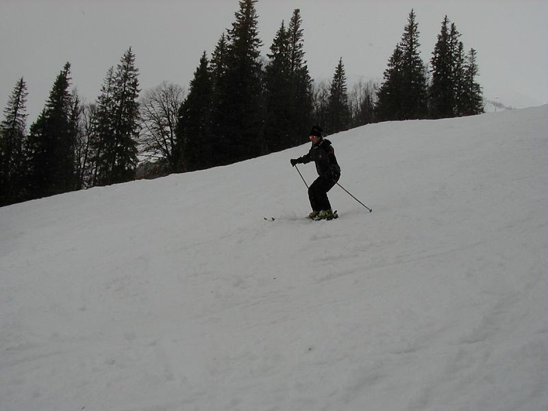 P3310007.JPG
