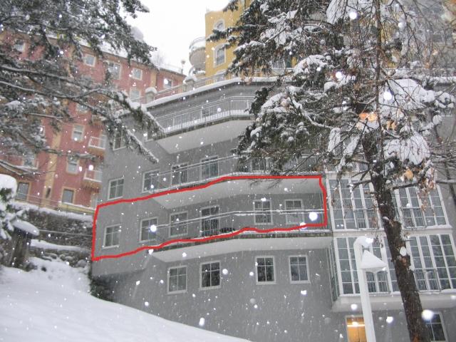 0202005.jpg
