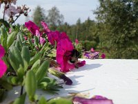 20140823 105344  User comments